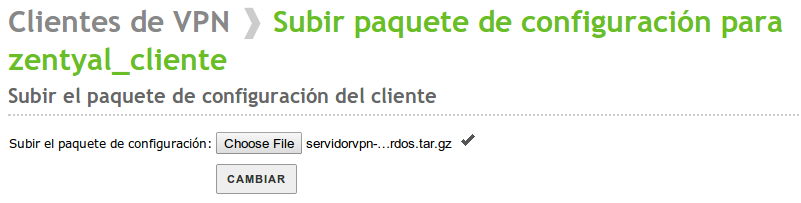 _images/04-vpn-eBox-client.png