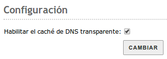 _images/transparent_dns.png
