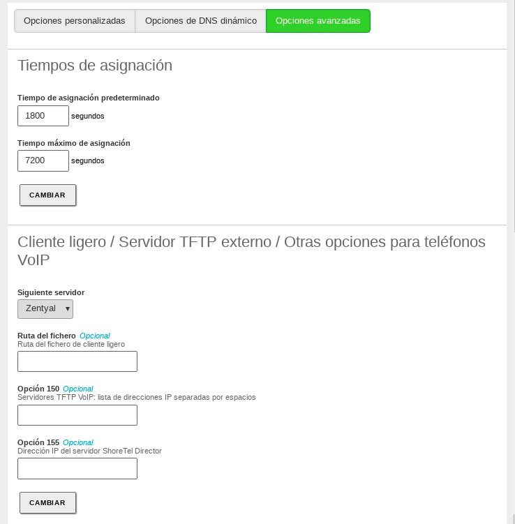Opciones avanzadas de DHCP