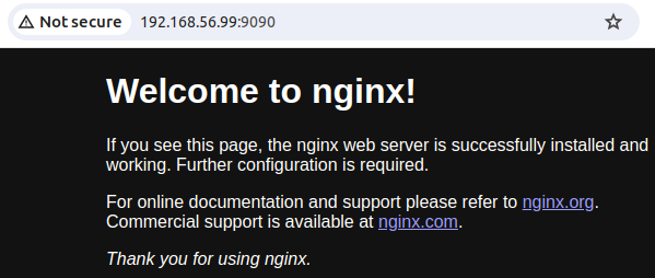 _images/docker-sample_nginx.png