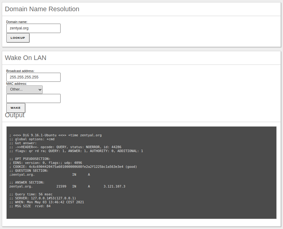 Domain name resolution tool