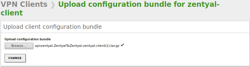 Automatic client configuration using VPN bundle