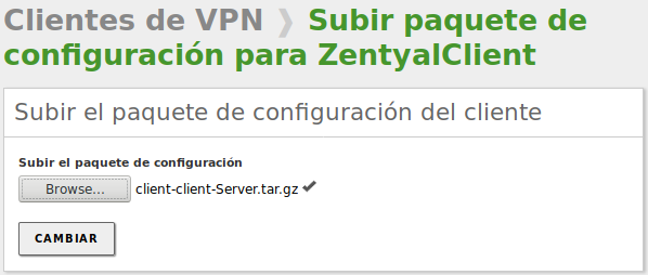 Configuración automática del cliente usando el paquete VPN